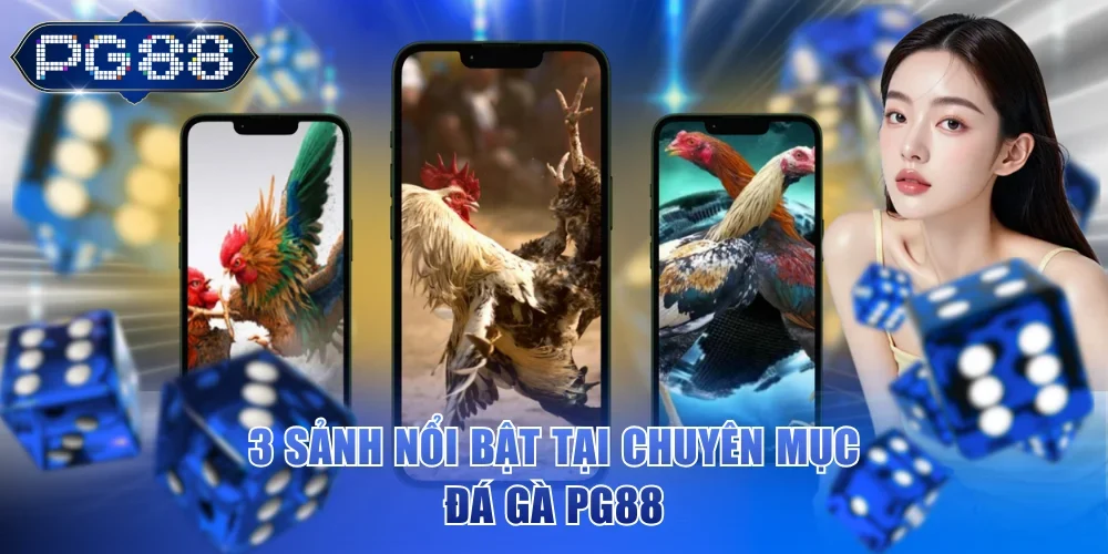 3 sảnh nổi bật tại chuyên mục đá gà PG88
